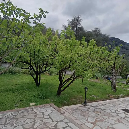 アパート Summer House アギオス・ゲオルギオス・パゴン